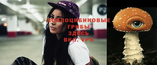 индика Приозерск