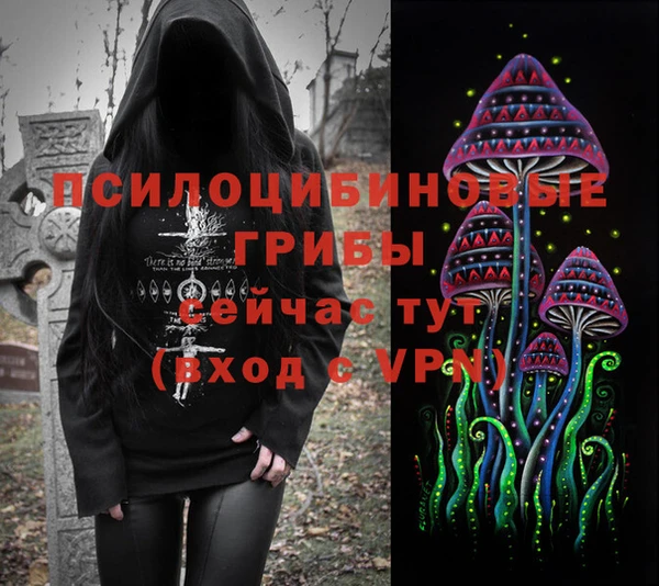 индика Приозерск