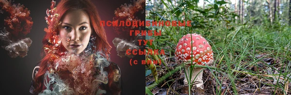 герыч Протвино