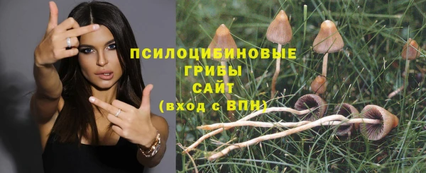 эйфоретик Абдулино