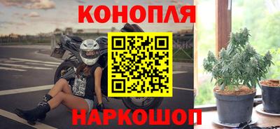 стаф Кулебаки