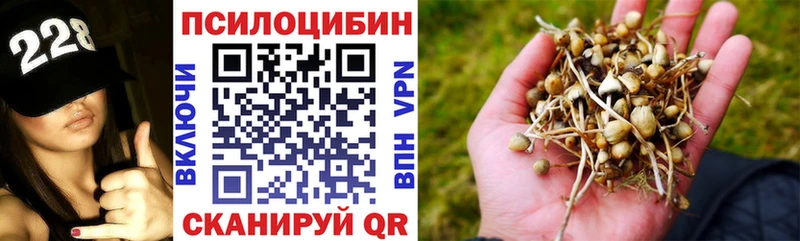 Псилоцибиновые грибы ЛСД  Зеленогорск 