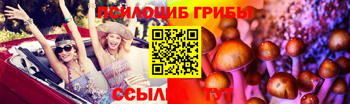 Галлюциногенные грибы Psilocybine cubensis Зеленогорск