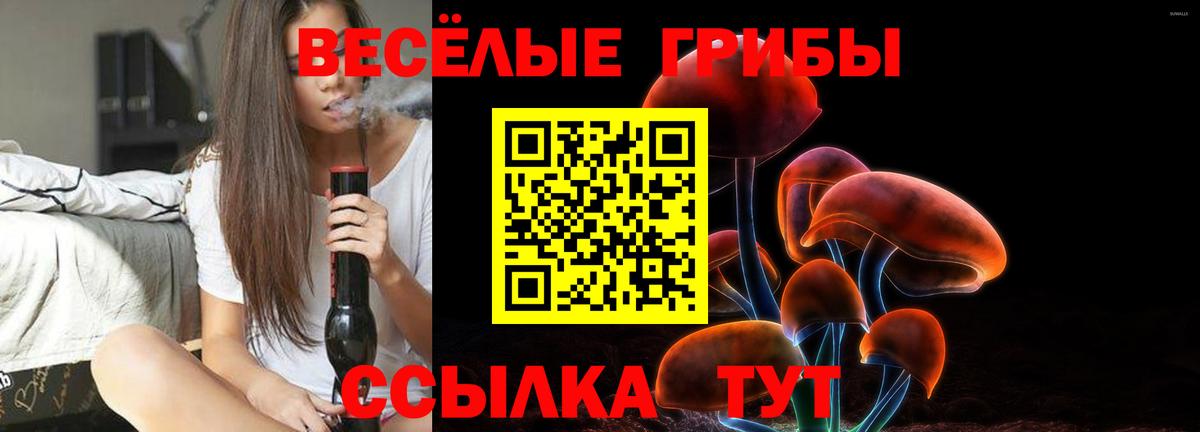 Галлюциногенные грибы Psilocybe  Галлюциногенные грибы мухоморы  Вход с VPN  Зеленогорск 